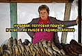 Нажмите на изображение для увеличения
Название: 5543E5FF-F7EF-49D4-B6ED-482E5B875D4E.jpeg
Просмотров: 528
Размер:	87.3 Кб
ID:	3266627