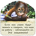 Нажмите на изображение для увеличения
Название: 13E0F058-B845-4A49-A820-C09DB647D7A1.jpeg
Просмотров: 451
Размер:	157.2 Кб
ID:	3267951