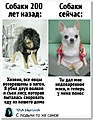 Нажмите на изображение для увеличения
Название: 65C30DB4-AF80-48A7-B5D6-F1EAD9C89CA0.jpeg
Просмотров: 604
Размер:	136.0 Кб
ID:	3268158