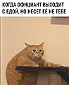 Нажмите на изображение для увеличения
Название: FC15E038-8E88-4C2E-B5CF-556135E27812.jpeg
Просмотров: 427
Размер:	87.5 Кб
ID:	3272795