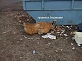 Нажмите на изображение для увеличения
Название: IMG_20210518_153726_775.jpg
Просмотров: 546
Размер:	81.2 Кб
ID:	3275657