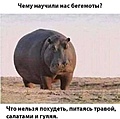 Нажмите на изображение для увеличения
Название: F8C61546-2B55-448F-BEA7-04E84FEC07C9.jpeg.d89165877b0f5bfc012049b8dfb5b5b2.jpeg
Просмотров: 541
Размер:	76.4 Кб
ID:	3277834