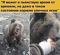 Нажмите на изображение для увеличения
Название: BA8FB98F-B401-4ABB-A7D3-44DF8F81D5AD.jpeg
Просмотров: 519
Размер:	47.1 Кб
ID:	3284552