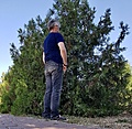 Нажмите на изображение для увеличения
Название: 4CC3A20F-6A89-4CC4-A6EF-9B4A573782D5.jpg
Просмотров: 84
Размер:	909.6 Кб
ID:	3285414