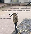 Нажмите на изображение для увеличения
Название: 22966B0B-6915-472C-8A76-44B252AEFA43.jpeg
Просмотров: 470
Размер:	98.7 Кб
ID:	3287499