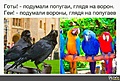 Нажмите на изображение для увеличения
Название: 11A1E21B-0733-4D6D-A497-D4B85F729494.jpeg
Просмотров: 559
Размер:	91.5 Кб
ID:	3288910