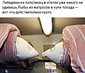 Нажмите на изображение для увеличения
Название: 437E5A5D-38EE-4F26-99CB-96507A018DAF.jpeg
Просмотров: 563
Размер:	89.0 Кб
ID:	3291470