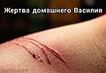 Нажмите на изображение для увеличения
Название: 557CF4FB-CD4D-42AE-B455-0A05660C8147.jpeg
Просмотров: 559
Размер:	111.3 Кб
ID:	3293586