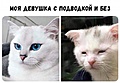 Нажмите на изображение для увеличения
Название: 3F0D1298-389B-48C7-B272-93E5F216840A.jpeg
Просмотров: 577
Размер:	62.9 Кб
ID:	3297881