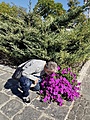 Нажмите на изображение для увеличения
Название: 9ED720EA-0967-42A6-A4A1-D3EDCD516449.jpg
Просмотров: 36
Размер:	889.7 Кб
ID:	3299004