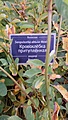 Нажмите на изображение для увеличения
Название: IMG-20211007-WA0006.jpg
Просмотров: 534
Размер:	129.6 Кб
ID:	3300633