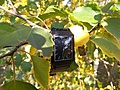 Нажмите на изображение для увеличения
Название: Img_140735.jpg
Просмотров: 96
Размер:	378.4 Кб
ID:	3303821