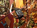 Нажмите на изображение для увеличения
Название: Img_113631.jpg
Просмотров: 391
Размер:	348.3 Кб
ID:	3303823