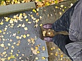 Нажмите на изображение для увеличения
Название: AE.jpg
Просмотров: 700
Размер:	680.0 Кб
ID:	3306235