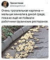 Нажмите на изображение для увеличения
Название: 10617869-A5BE-4998-98CF-CE44A3BA2D31.jpeg
Просмотров: 523
Размер:	116.8 Кб
ID:	3306525