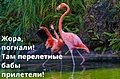 Нажмите на изображение для увеличения
Название: 3B2AED0A-7231-478C-9569-CDC92CD51225.jpeg
Просмотров: 525
Размер:	110.7 Кб
ID:	3309568