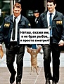 Нажмите на изображение для увеличения
Название: IMG_20211115_132910.jpg
Просмотров: 545
Размер:	106.2 Кб
ID:	3319296
