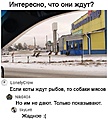 Нажмите на изображение для увеличения
Название: 671E374C-09F4-4764-8820-348E76736726.jpeg
Просмотров: 580
Размер:	109.0 Кб
ID:	3324714