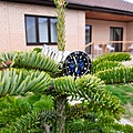 Нажмите на изображение для увеличения
Название: 20211127_143901.jpg
Просмотров: 111
Размер:	616.4 Кб
ID:	3326149