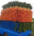 Нажмите на изображение для увеличения
Название: FB_IMG_1638298547418.jpg
Просмотров: 477
Размер:	47.0 Кб
ID:	3328066