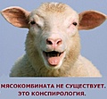 Нажмите на изображение для увеличения
Название: 65047AB6-D495-4D22-B9D3-A1549E0822F9.jpeg
Просмотров: 553
Размер:	77.0 Кб
ID:	3328595