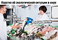 Нажмите на изображение для увеличения
Название: 2021-12-07-23-09-37.jpg
Просмотров: 563
Размер:	390.3 Кб
ID:	3331884
