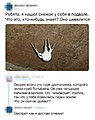 Нажмите на изображение для увеличения
Название: C9EF39DE-1834-4F32-BF26-4E970488399A.jpeg
Просмотров: 518
Размер:	111.7 Кб
ID:	3336238