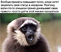 Нажмите на изображение для увеличения
Название: AB7355DD-DCB5-4D6B-AD5E-63C6B61DE3B9.jpeg
Просмотров: 536
Размер:	89.7 Кб
ID:	3341473