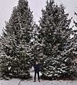 Нажмите на изображение для увеличения
Название: 505AF44F-496B-43BE-AB71-119B93DCF8A6.jpg
Просмотров: 680
Размер:	1.00 Мб
ID:	3346571