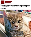 Нажмите на изображение для увеличения
Название: h-255499.jpg
Просмотров: 476
Размер:	309.5 Кб
ID:	3351904