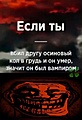 Нажмите на изображение для увеличения
Название: DC908634-8B78-4811-87AE-AA4FA2A66C1A.jpeg
Просмотров: 604
Размер:	85.4 Кб
ID:	3355566