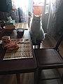 Нажмите на изображение для увеличения
Название: IMG_20220124_102133.jpg
Просмотров: 140
Размер:	313.1 Кб
ID:	3358357