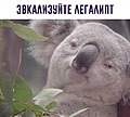 Нажмите на изображение для увеличения
Название: C7CCC9CA-4645-4A37-8C71-862A93B4A07F.jpeg
Просмотров: 471
Размер:	94.1 Кб
ID:	3366139