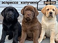 Нажмите на изображение для увеличения
Название: 8AB206A9-E2DB-44BC-9483-72E2664A39AA.jpeg
Просмотров: 569
Размер:	95.8 Кб
ID:	3384969