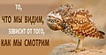Нажмите на изображение для увеличения
Название: 3F6275FF-7593-47D8-AF2F-6C392DEF495F.jpeg
Просмотров: 536
Размер:	45.7 Кб
ID:	3389145