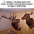 Нажмите на изображение для увеличения
Название: 3.jpg
Просмотров: 596
Размер:	73.7 Кб
ID:	3390834