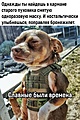 Нажмите на изображение для увеличения
Название: 5A0FEEDD-2EB5-4554-BE0A-B3E94989DFBB.jpeg
Просмотров: 670
Размер:	216.0 Кб
ID:	3393097