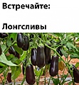 Нажмите на изображение для увеличения
Название: CEEC656E-2407-4294-8964-9D09873DF440.jpeg
Просмотров: 589
Размер:	113.5 Кб
ID:	3397956