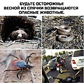 Нажмите на изображение для увеличения
Название: 21C87B99-DC9A-4F3C-9BC9-403FA127B02A.jpeg
Просмотров: 611
Размер:	110.1 Кб
ID:	3400158
