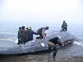 Нажмите на изображение для увеличения
Название: DSC03921.jpg
Просмотров: 260
Размер:	358.3 Кб
ID:	340361