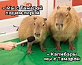 Нажмите на изображение для увеличения
Название: AF10709A-E9B2-4B3D-8FCE-6A56BDFF52BD.jpeg
Просмотров: 552
Размер:	124.5 Кб
ID:	3423219