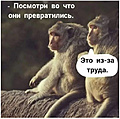 Нажмите на изображение для увеличения
Название: 5FBC12A2-26B1-4277-8654-F0AB8306A860.jpeg
Просмотров: 556
Размер:	202.2 Кб
ID:	3425596