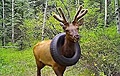 Нажмите на изображение для увеличения
Название: олень-вс-украшения-3.jpg
Просмотров: 94
Размер:	19.4 Кб
ID:	3426210