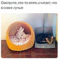 Нажмите на изображение для увеличения
Название: C3537868-D834-4618-B8CE-4985DDC23DCA.jpeg
Просмотров: 548
Размер:	28.9 Кб
ID:	3426746