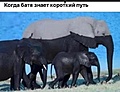 Нажмите на изображение для увеличения
Название: 16941731.jpg
Просмотров: 549
Размер:	54.2 Кб
ID:	3429590