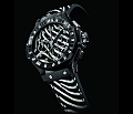 Нажмите на изображение для увеличения
Название: Hublot-Zebra.jpg
Просмотров: 1214
Размер:	65.9 Кб
ID:	343065