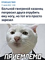 Нажмите на изображение для увеличения
Название: ECB030AE-2D34-4A17-8479-52A55EB46DC2.jpeg
Просмотров: 534
Размер:	149.9 Кб
ID:	3432812