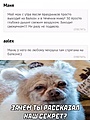 Нажмите на изображение для увеличения
Название: 5B623C5B-5F74-4B54-9E00-21D1A362FF9D.jpeg
Просмотров: 548
Размер:	147.0 Кб
ID:	3438575