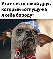 Нажмите на изображение для увеличения
Название: 01E04843-B66C-4086-9E44-9E821B22B53F.jpeg
Просмотров: 557
Размер:	120.2 Кб
ID:	3438578