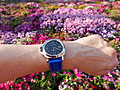 Нажмите на изображение для увеличения
Название: P10404860003.JPG
Просмотров: 43
Размер:	1.23 Мб
ID:	3445932